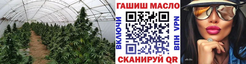 ТГК вейп с тгк  где найти   omg tor  Приволжск 