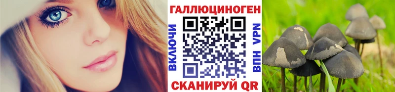 Галлюциногенные грибы Cubensis  Приволжск 